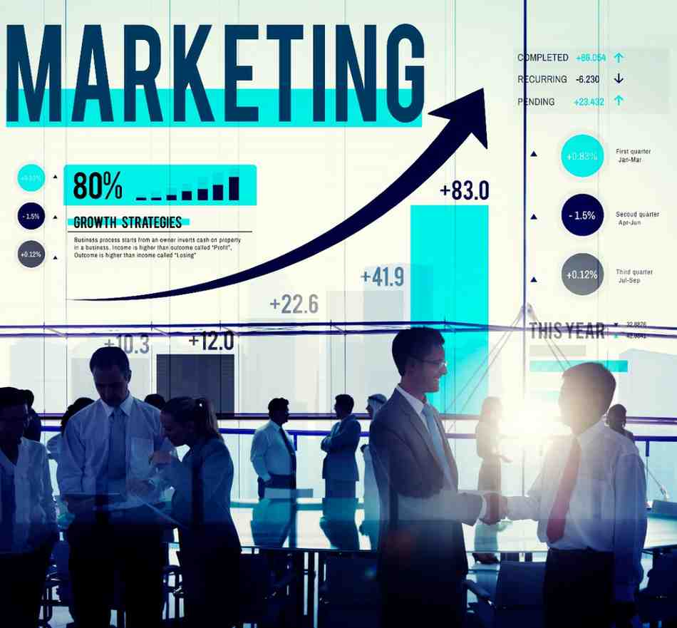 Key Components of Business & Marketing